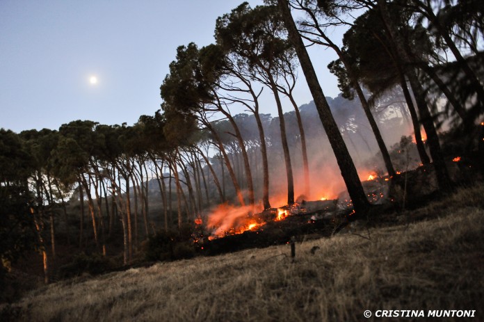 incendio-carmine_130913_0011